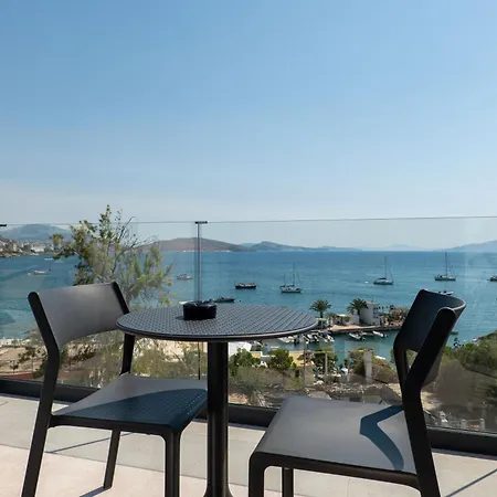 Victoria Boutique Hotel 3*